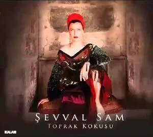 Toprak kokusu